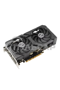 Видеокарта Asus AMD Radeon RX 7600 8Gb PCI-E DUAL-RX7600-O8G-EVO 128bit GDDR6 2280/18000 HDMIx1 DPx3 HDCP Ret
