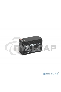 АКБ свинцово-кислотная SKAT SB 1209 тип AGM 12V 9А·ч I зар. 2,7 А (ножевые клеммы, гарантия - 18 месяцев) (2540)