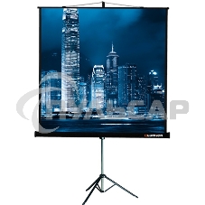 Экран на штативе Lumien Master View 128x171 см Matte White FiberGlass (LMV-100106)