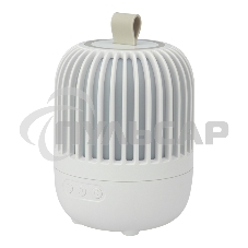 Светодиодный ночник-проектор Neon-night Melony