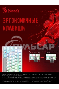 Клавиатура проводная A4Tech Bloody S510N USB белый