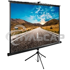 Экран Cactus 160x160см TriExpert CS-PSTE-160x160-BK 1:1 напольный рулонный