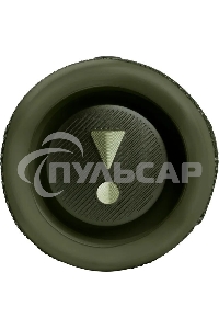 Портативная акустика JBL Flip 6, зеленый