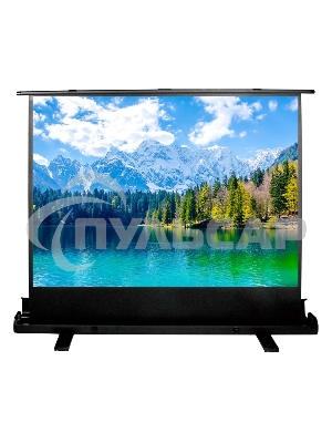 Экран Cactus 90x160см FloorExpert CS-PSFLE-160X90 16:9 напольный рулонный