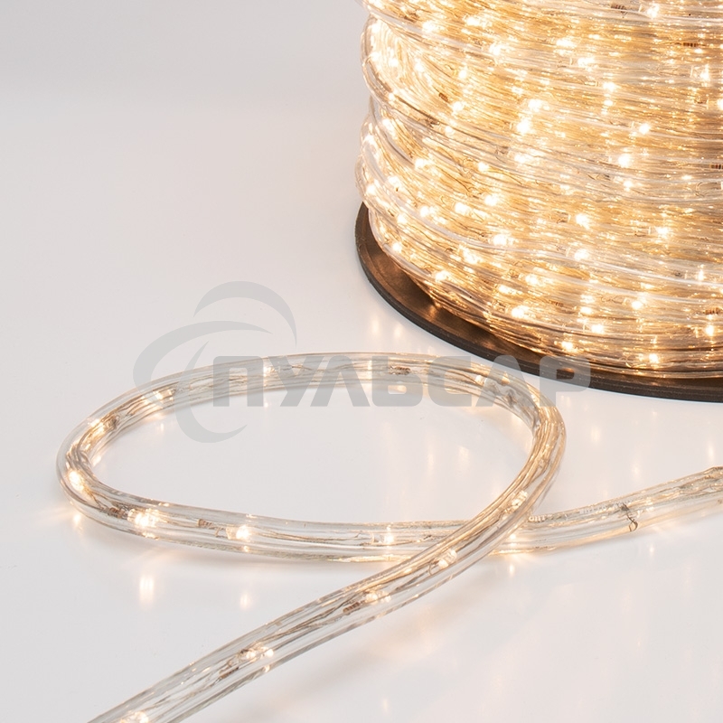 Дюралайт Neon-night LED, свечение с динамикой (3W) - теплый белый, 24 LED/м, бухта 100м