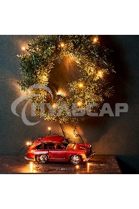 Гирлянда Neon-night 