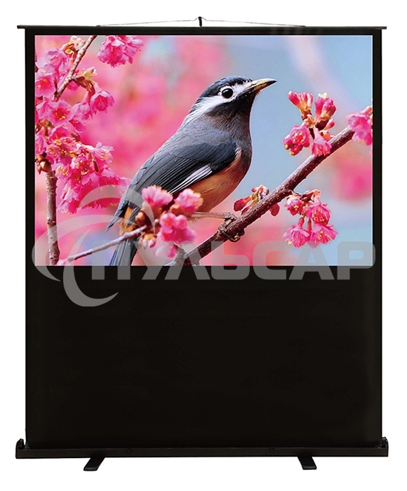 Экран Cactus 90x120см FloorCompactExpert CS-PSFLCE-120X90 4:3 напольный рулонный