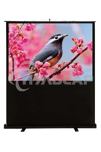 Экран Cactus 90x120см FloorCompactExpert CS-PSFLCE-120X90 4:3 напольный рулонный