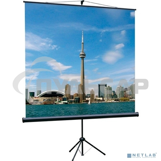 Экран на штативе Lumien Eco View 153x203см (раб.область147х197 см) Matte White с возможностью настенного крепления 4:3