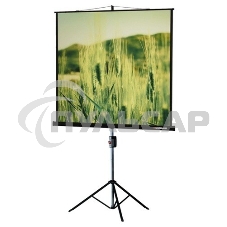 Экран на треноге Lumien 153x153см Master View LMV-100102 1:1 напольный рулонный