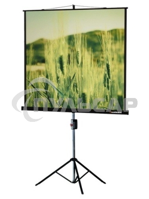 Экран на треноге Lumien 153x153см Master View LMV-100102 1:1 напольный рулонный
