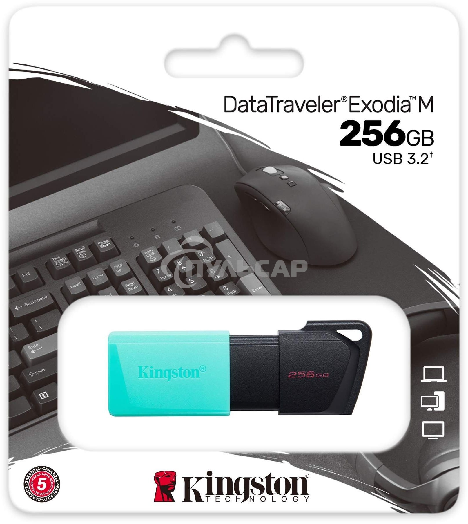 Флешка USB Kingston 256 Gb DataTraveler DTXM DTXM/256 Gb USB 3.2 черный/зеленый
