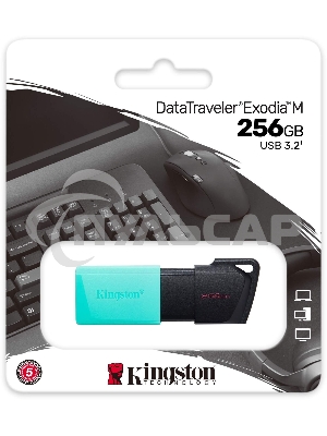 Флешка USB Kingston 256 Gb DataTraveler DTXM DTXM/256 Gb USB 3.2 черный/зеленый