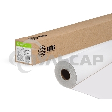 Холст Cactus CS-MC230-106730 42