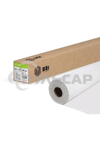 Холст Cactus CS-MC230-106730 42