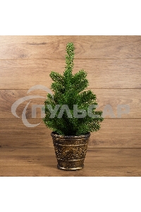 Елочка Neon-night 45 см в пластиковом горшке, Литая