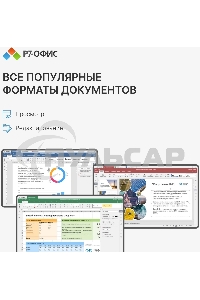 Офисное приложение Р7-Офис Профессиональный. Для бизнеса 1польз. бессрочно ТП 1г (R7DTb.UI.RT.NGUL0.0823.001BE)