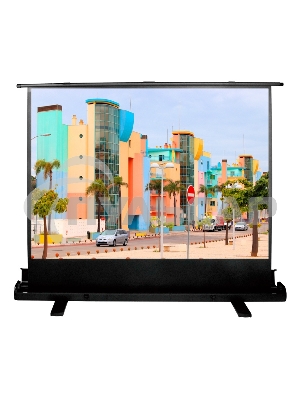 Экран Cactus 120x160см FloorExpert CS-PSFLE-160X120 4:3 напольный рулонный