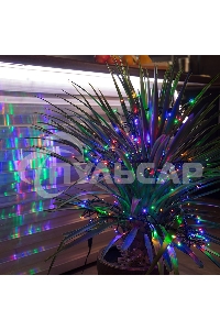 Гирлянда Neon-night 