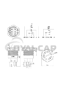 Кнопка антивандальная Ø19 250В Фикс (5с) ON-OFF/OFF-ON подсв/красная Rexant