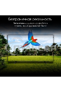 Телевизор Digma 55