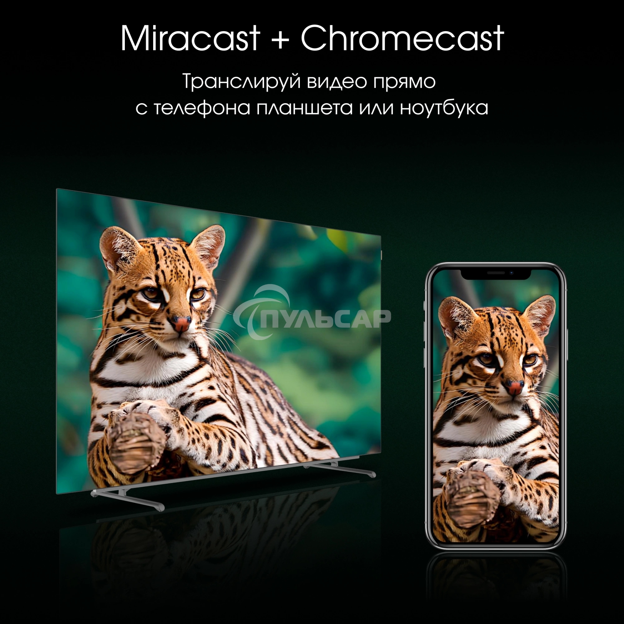 Телевизор Digma 55