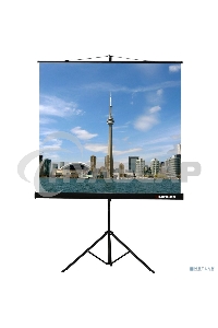 Экран на штативе Lumien Eco View 180x180см (раб.область 174х174 см) Matte White с возможностью настенного крепления 1:1