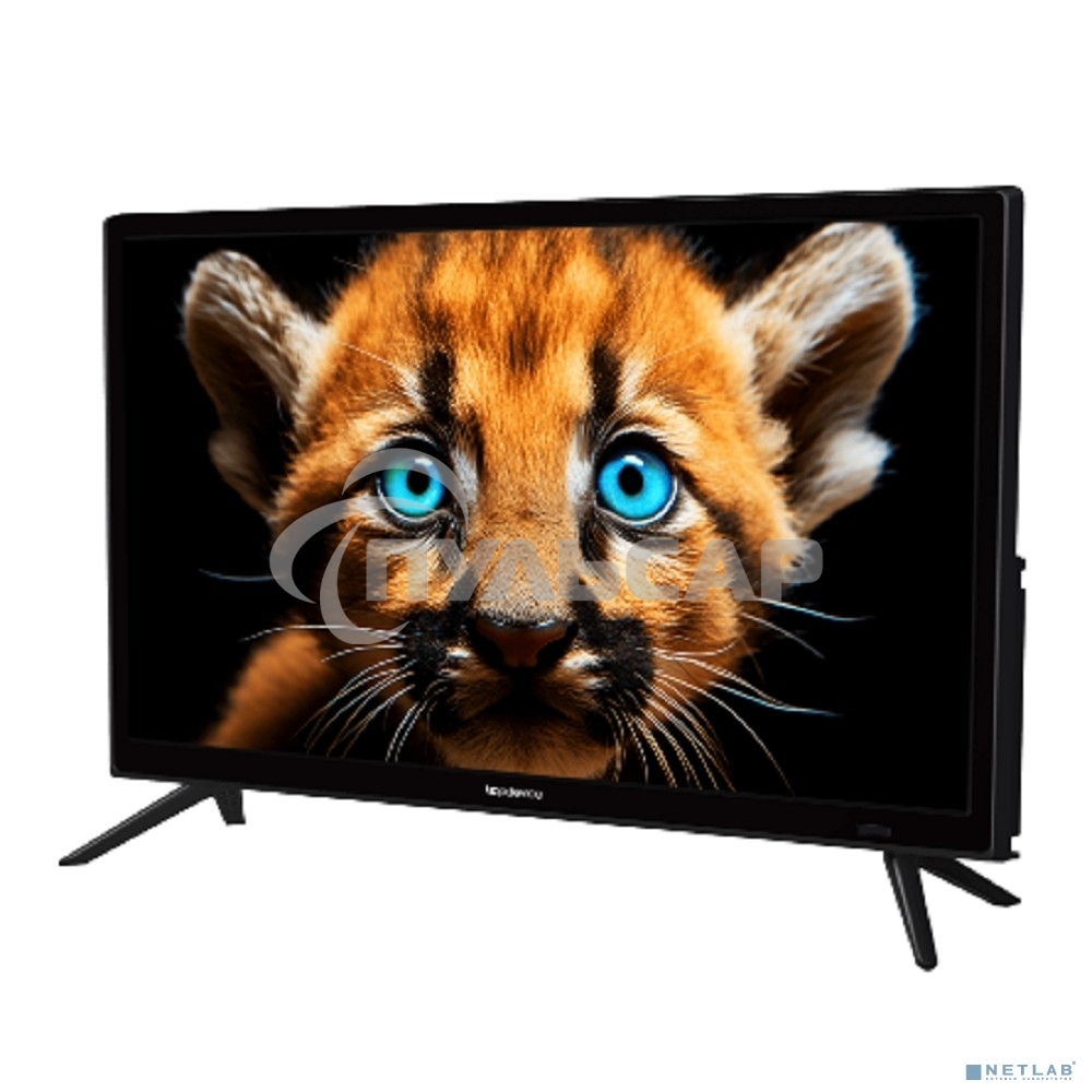 Телевизор Topdevice 24