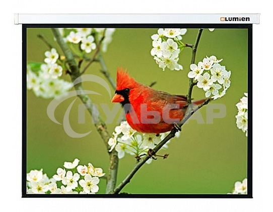 Экран Lumien 305x305см Master Picture LMP-100107 1:1 настенно-потолочный рулонный