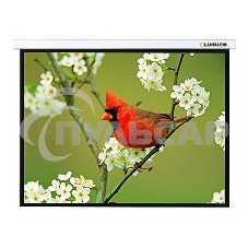 Экран Lumien 305x305см Master Picture LMP-100107 1:1 настенно-потолочный рулонный