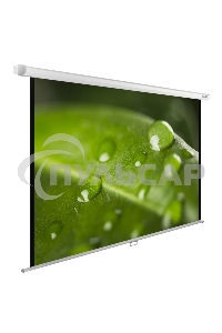 Экран Cactus 150x200см WallExpert CS-PSWE-200x150-WT 4:3 настенно-потолочный рулонный
