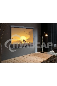 Экран Cactus 124.5x221см Wallscreen CS-PSW-124X221-SG 16:9 настенно-потолочный рулонный серый