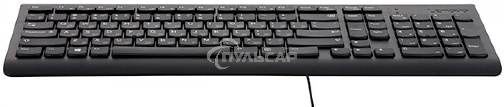 Клавиатура проводная Lenovo GX30M39684 300 USB Keyboard
