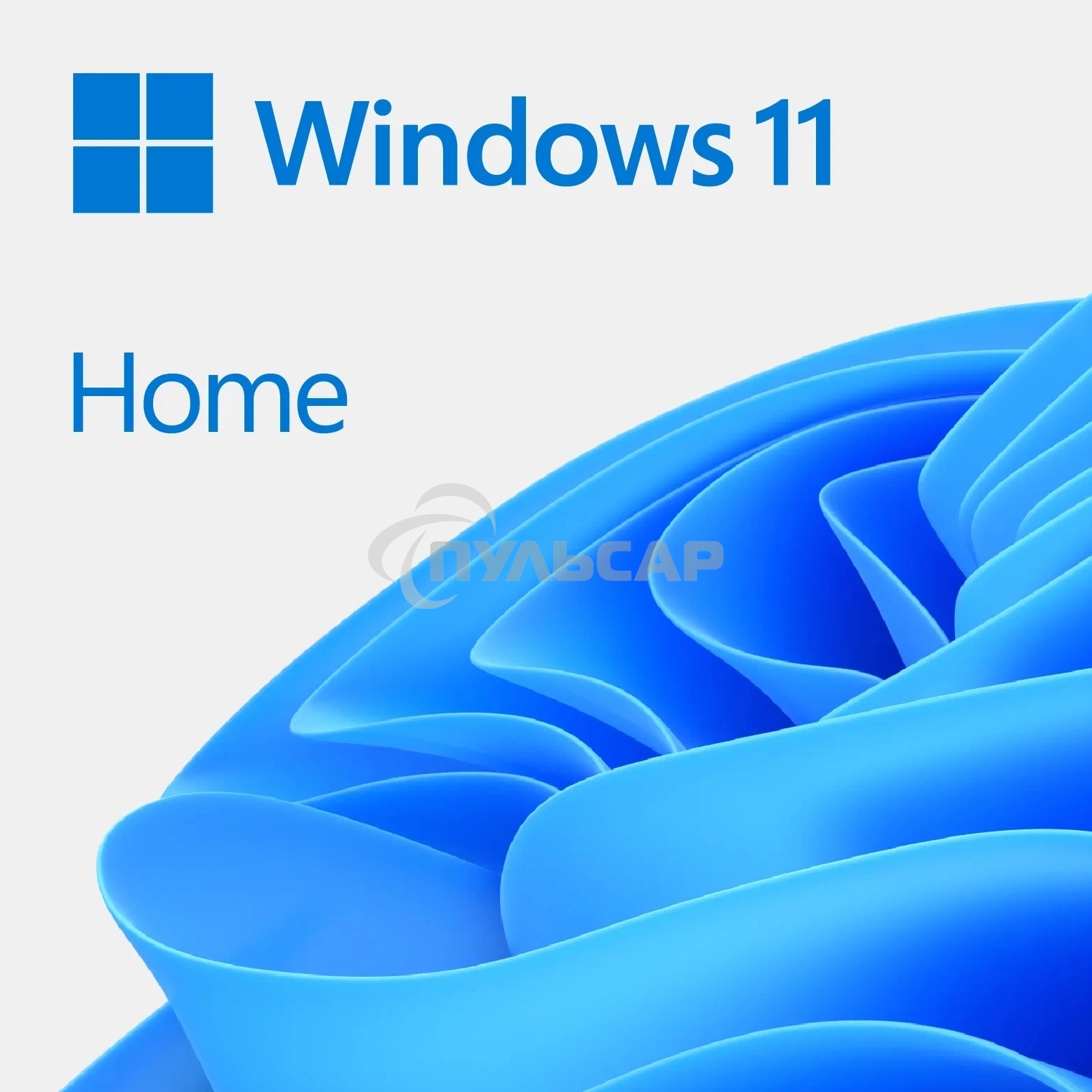 Windows 11 Home English OEM DVD Pack