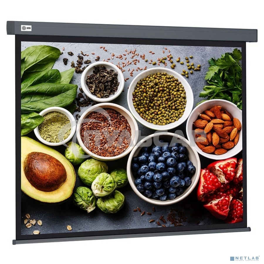 Экран Cactus 150x150см Wallscreen CS-PSW-150X150-SG 1:1 настенно-потолочный рулонный серый