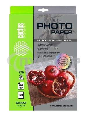 Фотобумага Cactus CS-GA4170100 A4/170г/м2/100л./белый глянцевое для струйной печати