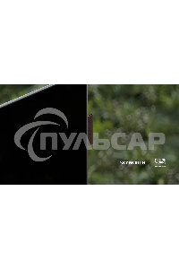 Телевизор Skyworth 55SXF9850 черный 55