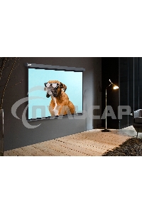 Экран Cactus 149.4x265.7см Wallscreen CS-PSW-149X265-SG 16:9 настенно-потолочный рулонный серый