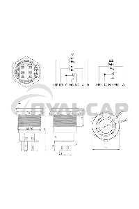 Кнопка антивандальная Ø19 12В Фикс (5с) ON-OFF/OFF-ON подсв/синяя Rexant