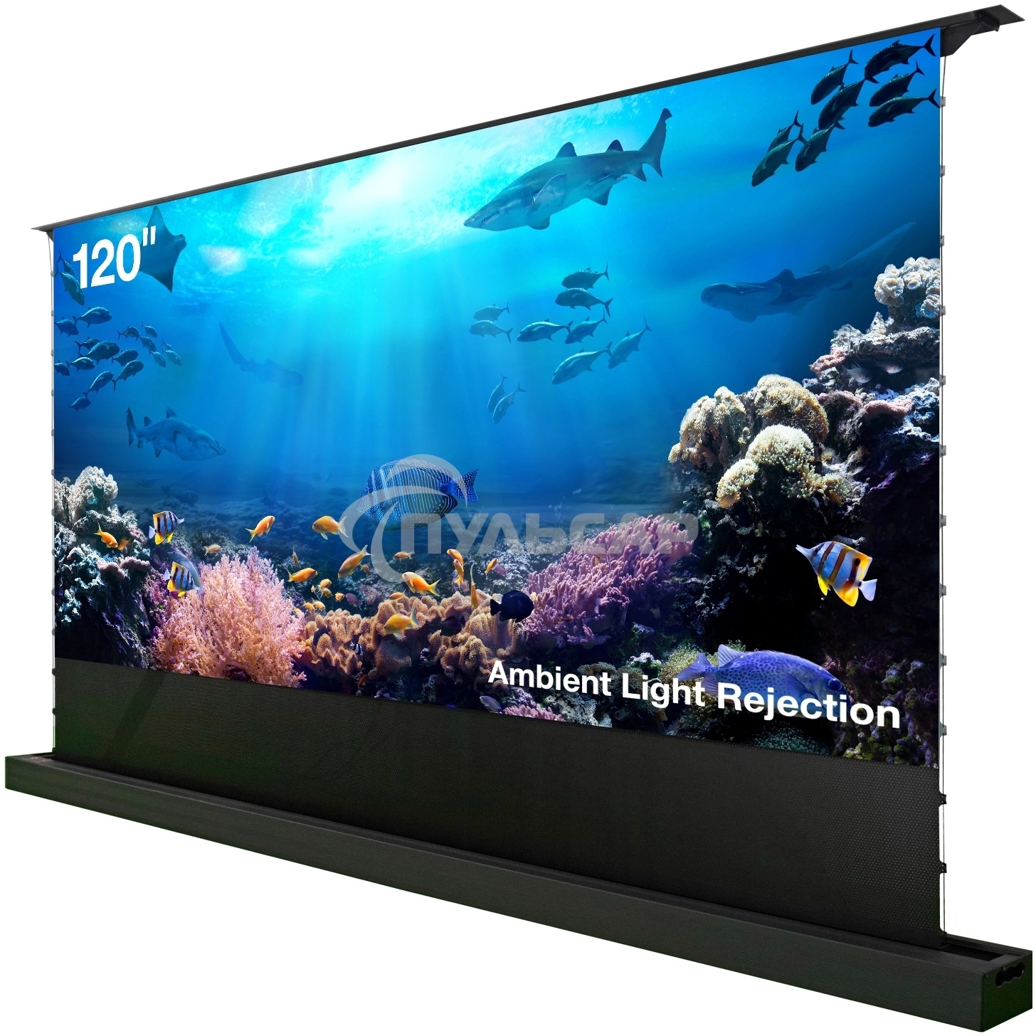 Экран Cactus 148x263см FloorRising CS-PSFRALR-263X148 16:9 напольный рулонный черный (моторизованный привод)