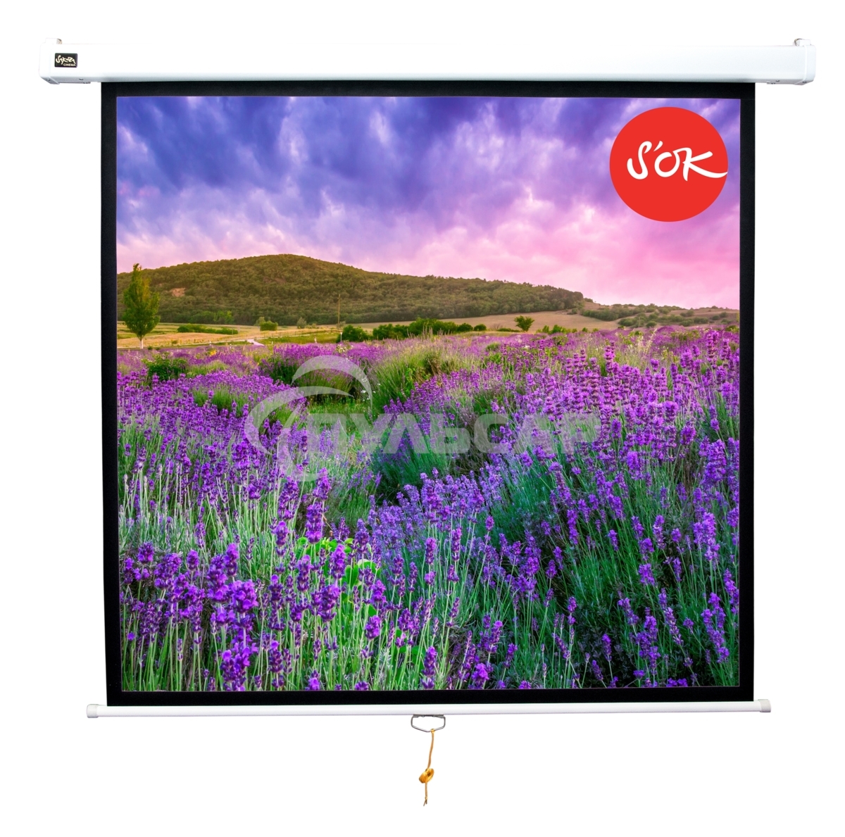 Экран 180x180см Wallscreen 1:1 настенно-потолочный рулонный белый100'