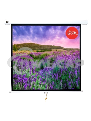 Экран 180x180см Wallscreen 1:1 настенно-потолочный рулонный белый100'