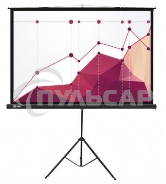 Экран Cactus 180x180см Triscreen CS-PST-180x180 1:1 напольный рулонный белый