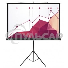 Экран Cactus 180x180см Triscreen CS-PST-180x180 1:1 напольный рулонный белый