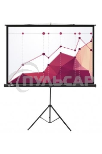 Экран Cactus 180x180см Triscreen CS-PST-180x180 1:1 напольный рулонный белый