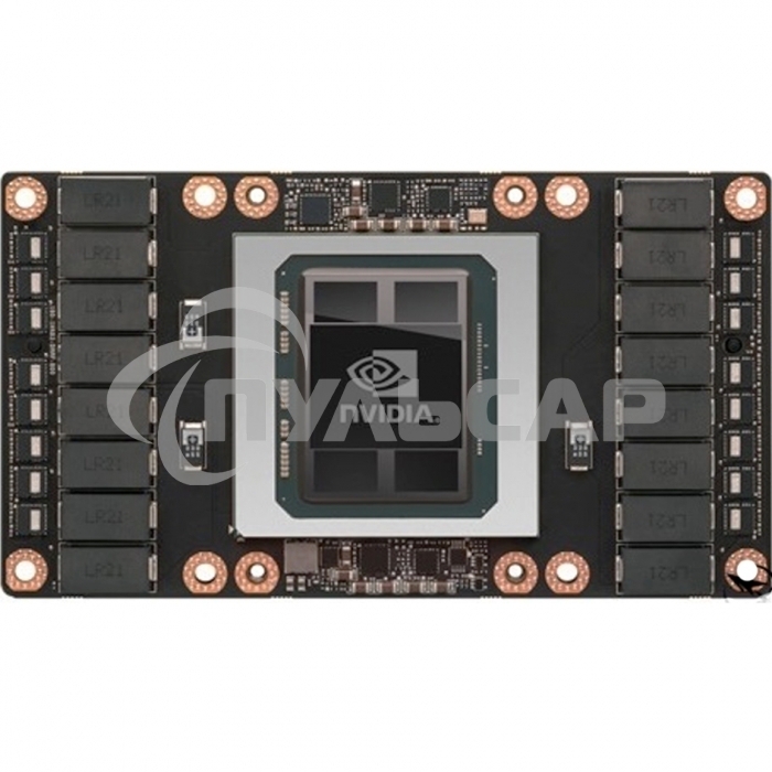 Видеокарта 900-2G503-0010-000 Tesla V100-SXM2-32Gb,PG503 SKU203,Generi