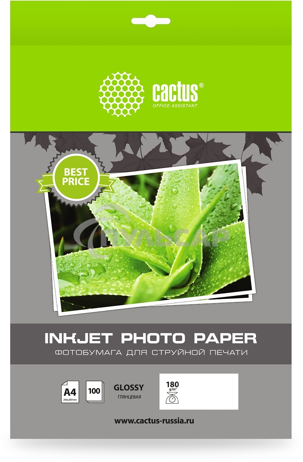 Фотобумага Cactus CS-GA4180100ED A4/180г/м2/100л./белый глянцевое для струйной печати