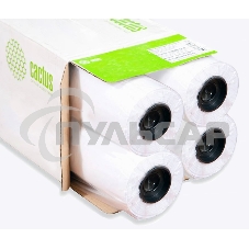 Бумага Cactus Eco CS-LFP80-610457E-4 24