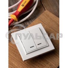 Выключатель 2-клавишный СП с индикатором,10А, белый EKF Basic Минск