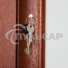 Неодимовый магнит диск 10х1мм с клеем сцепление 0,5 кг (упаковка 20 шт) Rexant